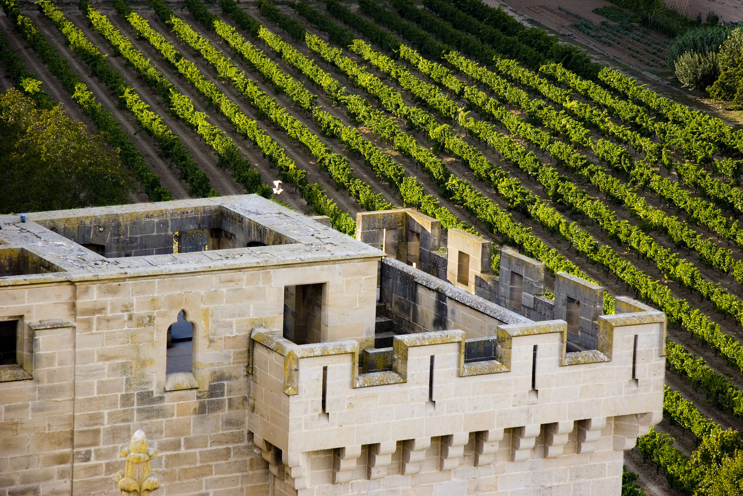 Uncorking Olite